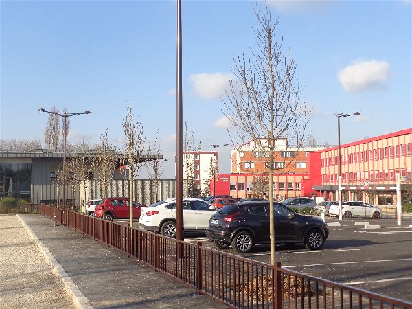 Arbres nouvelles aires de jeu Arbres nouvelles aires de jeu