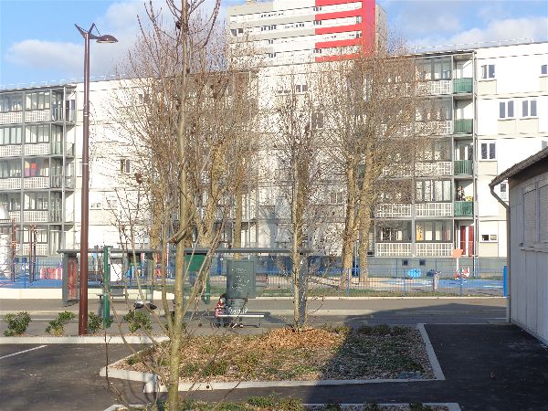 Arbres nouvelles aires de jeu Arbres nouvelles aires de jeu