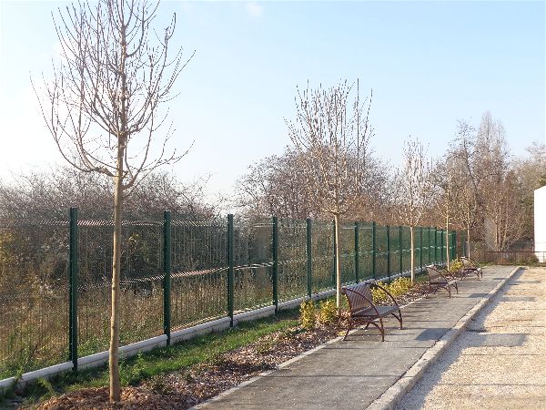 Arbres nouvelles aires de jeu Arbres nouvelles aires de jeu