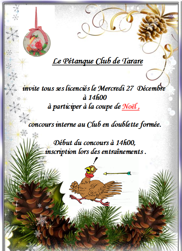 Coupe de Noël 2017