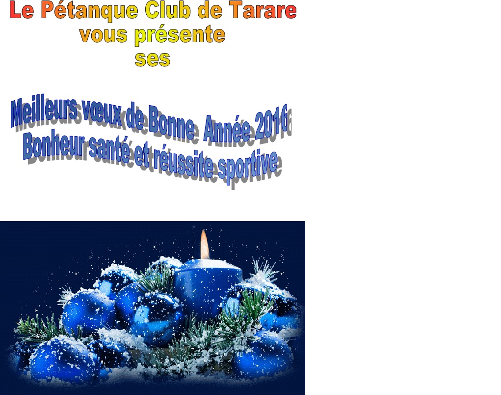 Voeux Nouvel An