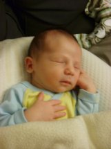 ENZO en pleine sieste ENZO en pleine sieste