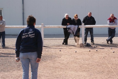 Championnat doublette féminin CD 62 (+ de photos) Championnat doublette féminin CD 62 (+ de photos)