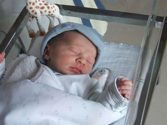 Bienvenue à Noé Lisse + photos Bienvenue à Noé Lisse + photos