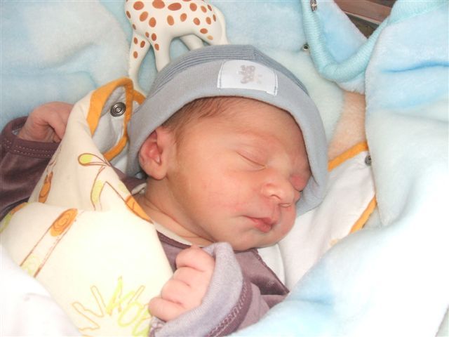 Bienvenue à Noé Lisse + photos Bienvenue à Noé Lisse + photos