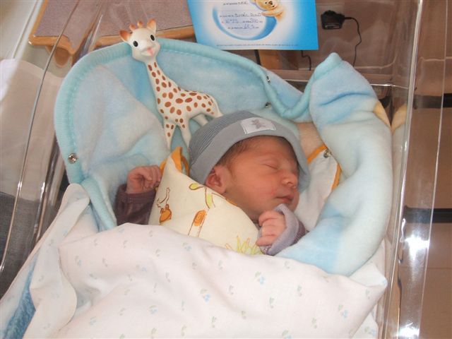 Bienvenue à Noé Lisse + photos Bienvenue à Noé Lisse + photos