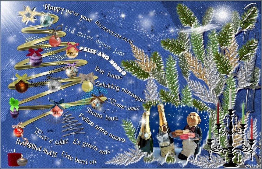 VOEUX 2011 VOEUX 2011