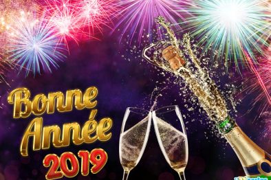BONNE ANNEE BONNE ANNEE