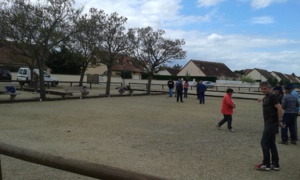 terrain  de petanque