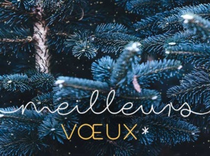 Meilleurs voeux à toutes et à tous pour 2017