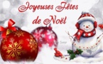 Article n°424