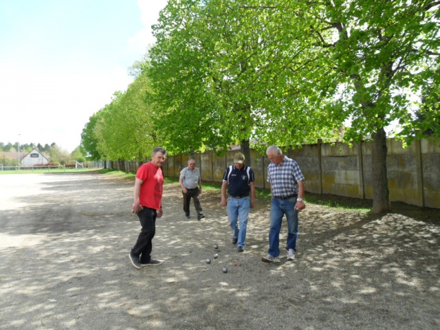 SAM_0446