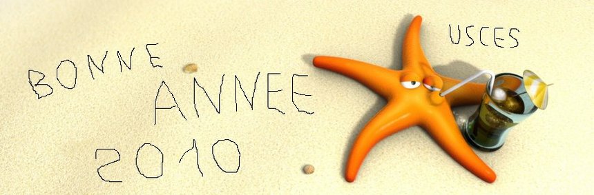 BONNE ANNEE 2010 BONNE ANNEE 2010