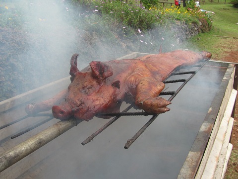 Le cochon grillé était excellent! Le cochon grillé était excellent!