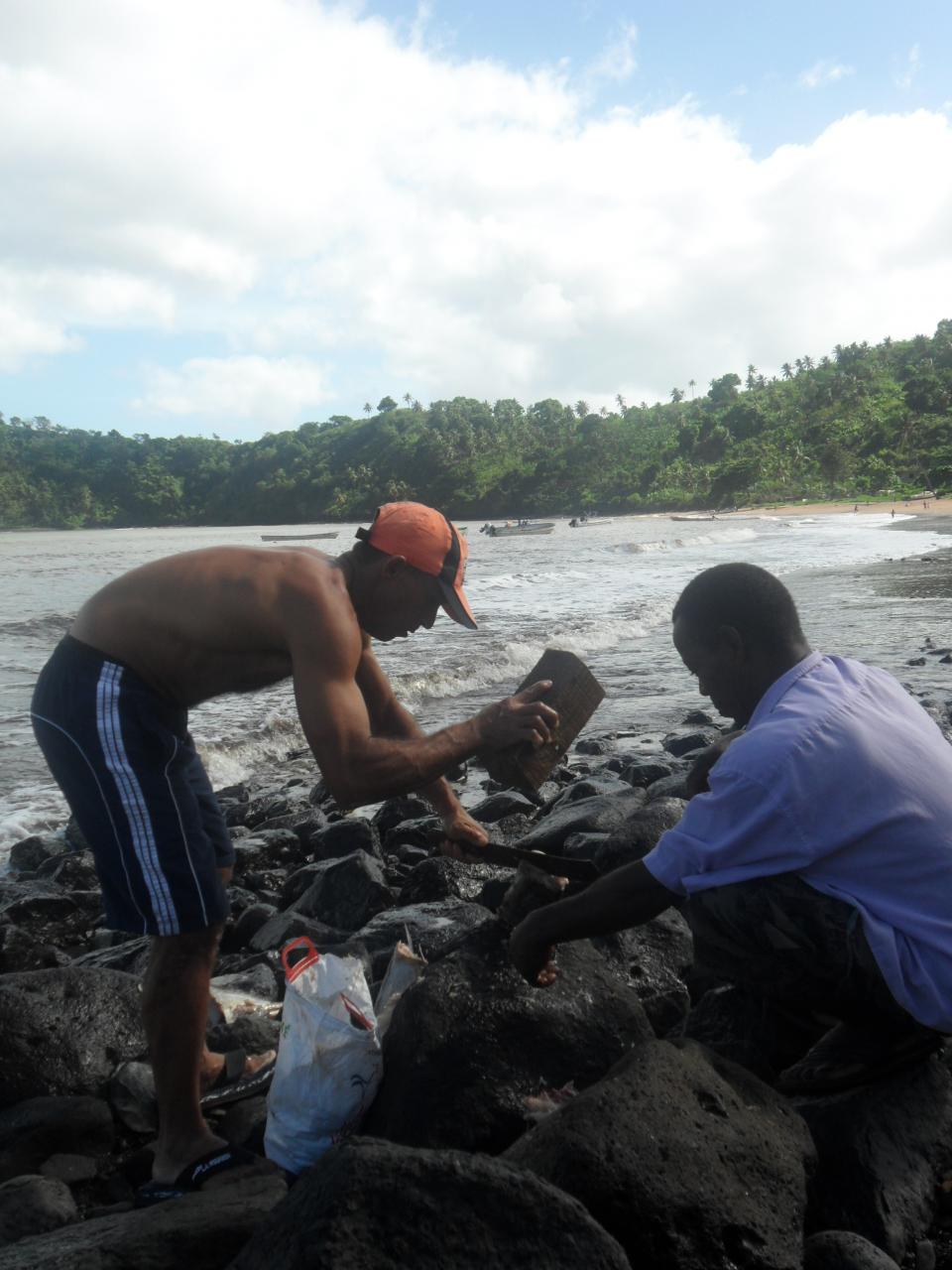 Paulo découpe un poisson Paulo découpe un poisson