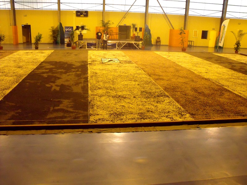 Le boulodrome dans le gymnase Le boulodrome dans le gymnase