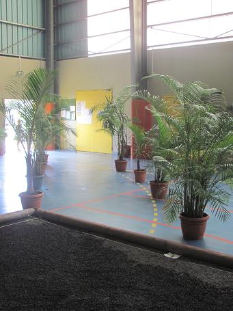 L'entrée des artistes! L'entrée des artistes!