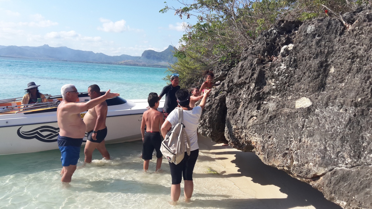 Pleins d'oiseaux. Pleins d'oiseaux.