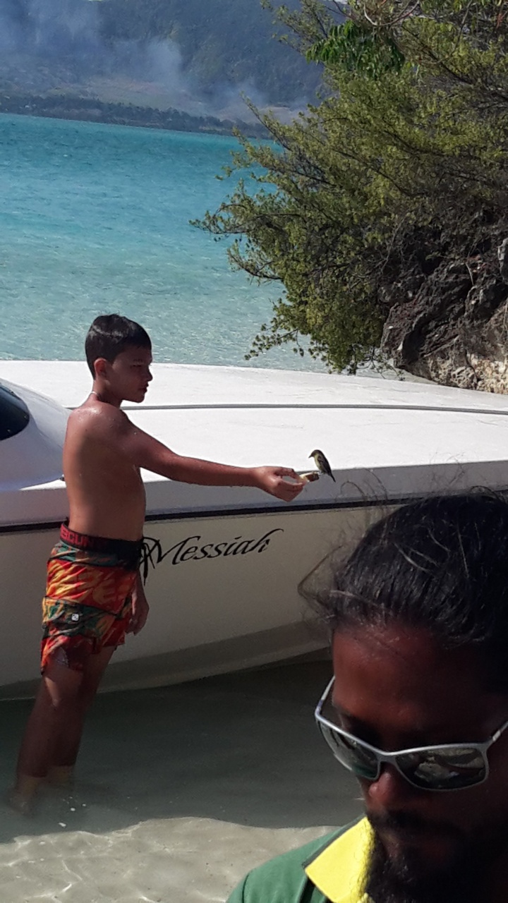 Pas peureux l'oiseau. Pas peureux l'oiseau.