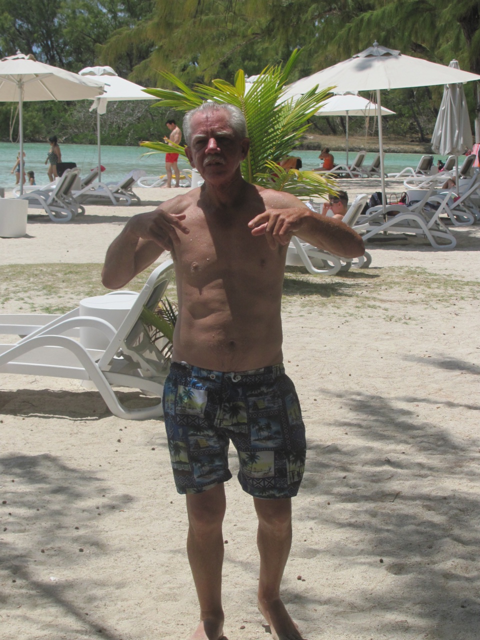 Michou commence à être fatigué (fallait pas jouer aux cartes hier soir!) Michou commence à être fatigué (fallait pas jouer aux cartes hier soir!)