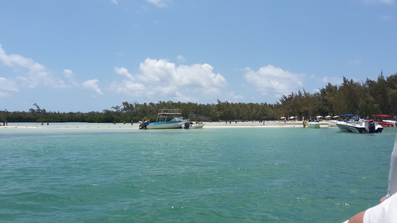 Que c'est joli! Que c'est joli!