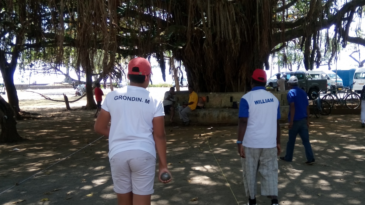 Le gros zarbre du boulodrome!! Le gros zarbre du boulodrome!!