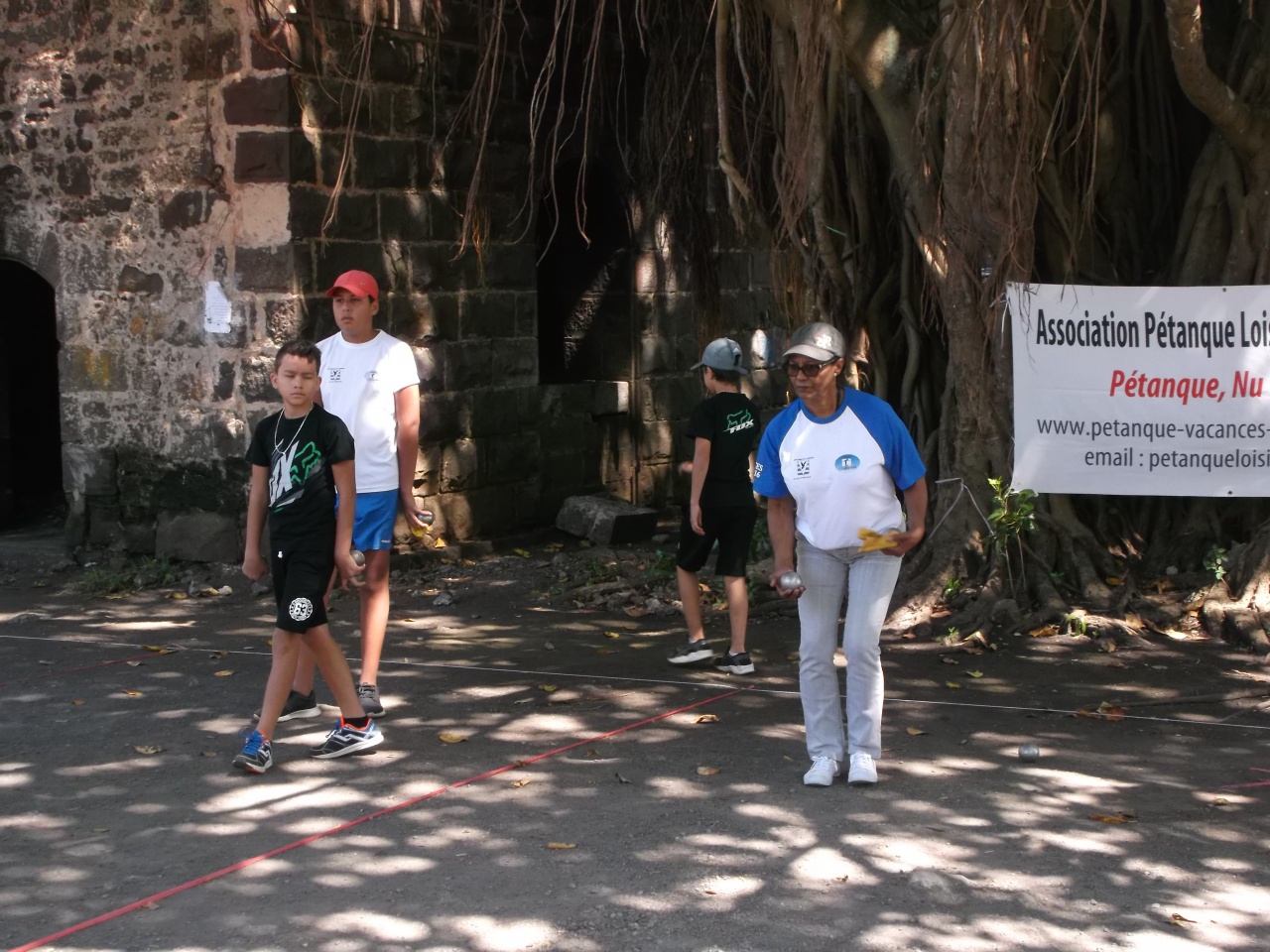 Mimose au pointage Mimose au pointage