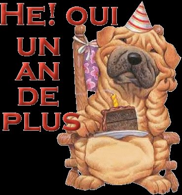 JOYEUX ANNIVERSAIRE JOYEUX ANNIVERSAIRE