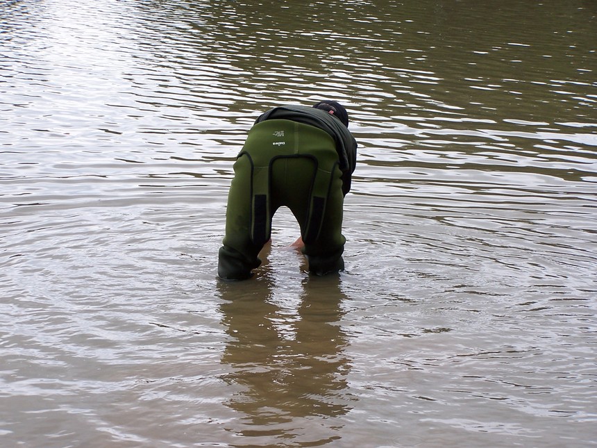 QUI C'EST???????????????????? QUI C'EST????????????????????