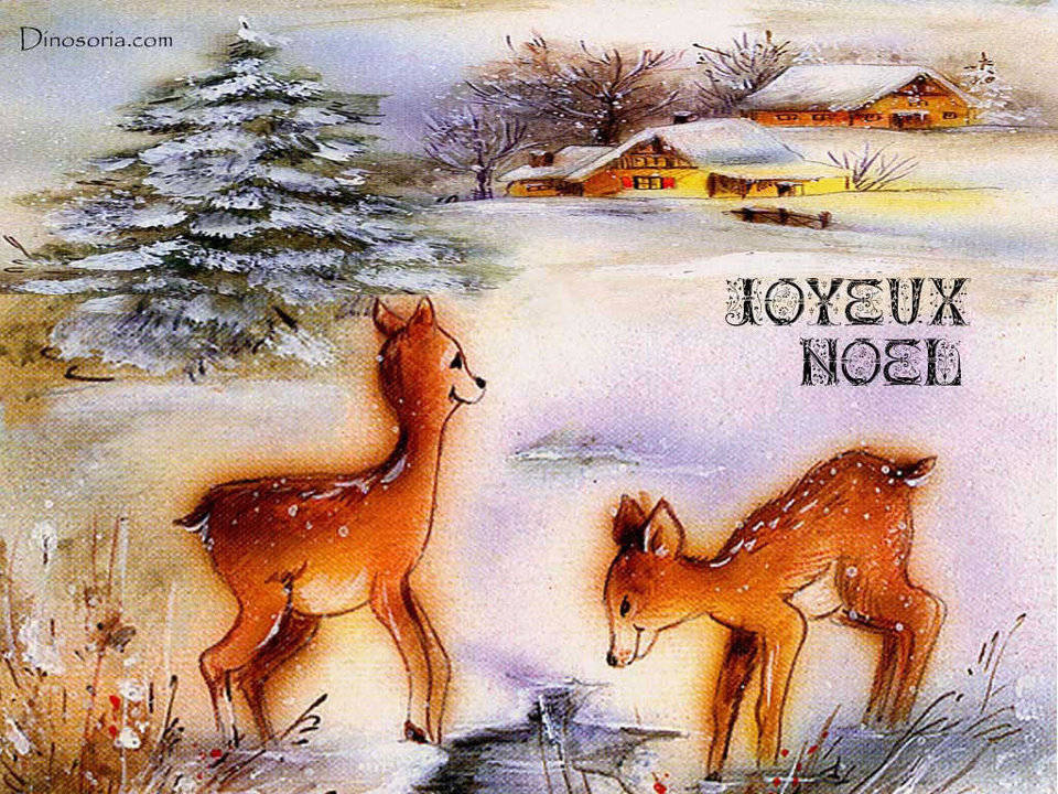 Bonnes Fêtes de fin d'année