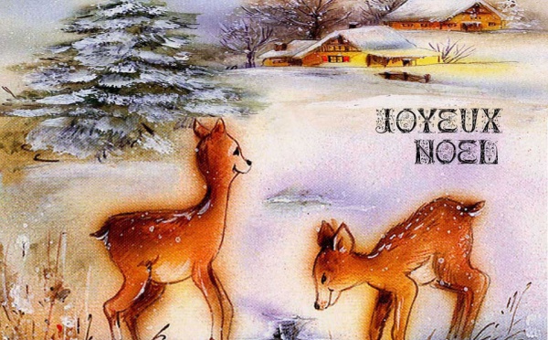 Bonnes Fêtes de fin d'année
