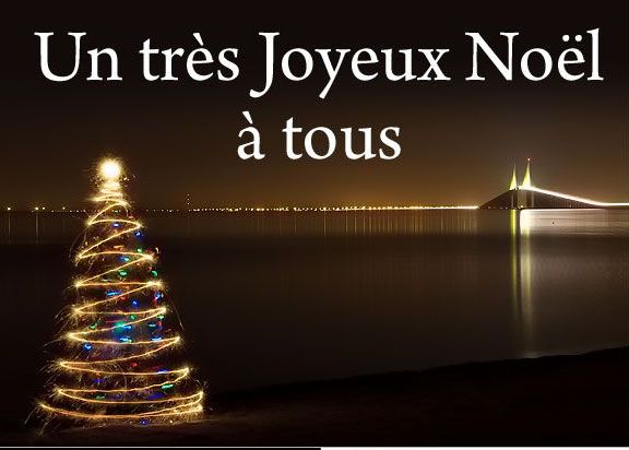       -  BONNE  FETE DE  FIN  ANNEE 2013 -